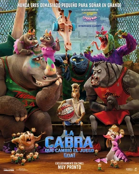 Póster Película